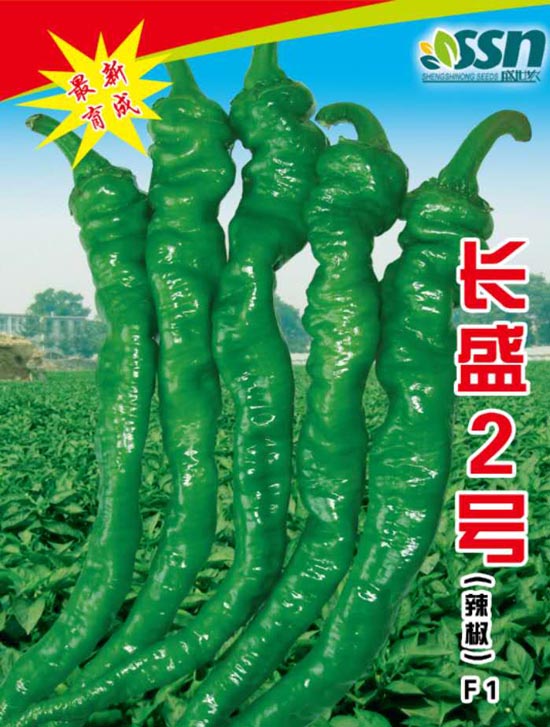長盛2號